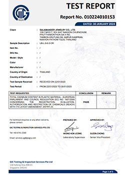 010224010153 SALAMANDER JEWELRY CO LTD UB L.6 6.0 OR