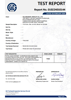 010224010144 SALAMANDER JEWELRY CO LTD TITATIUN TBL 1 6 16 0 BKLB 1 6 10 0 5B