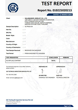 SILVER SLTR002 OX (2025-03-12)