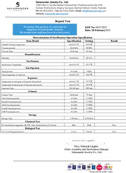 STERILIZE LOT 0935 (2025-02-20)
