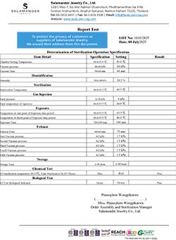 STERILIZE LOT 1010 (2025-07-08)