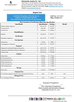 STERILIZE LOT 1019 (2025-07-23)