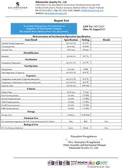 STERILIZE LOT 1025 (2025-08-01)