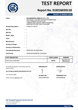 010226020110 SALAMANDER JEWELRY CO LTD 9 SHEET 0.24 6.0