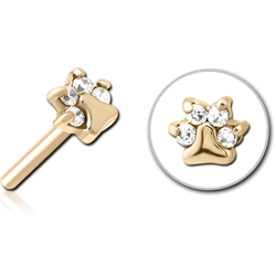 ZIRCON GOLD PVD COATED SURGICAL STEEL GRADE 316L JEWELED THREADLESS ATTACHMENT - PAW